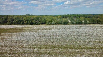 2864 McConnell Bridge Rd, Adel, GA 31620 - photo 5