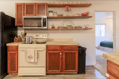 905 E Cleveland Ave, Fruita, CO 81521 - photo 5