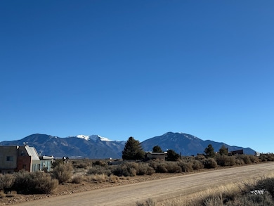 0 Tune Dr unit 111318, Arroyo Hondo, NM 87529 - photo 5