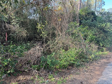 TBD Hickory, Splendora, TX 77372 - photo 3