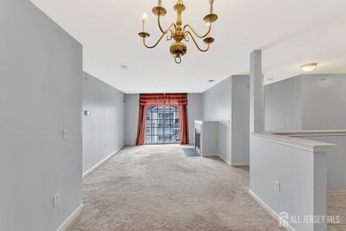 1233 Dogwood Ct unit 1233, New Brunswick, NJ 08901 - photo 7