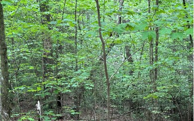 Additional View