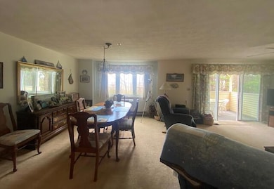 View from Kitchen