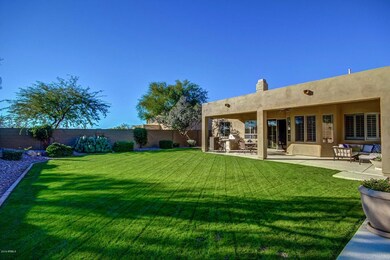 Large grass yard