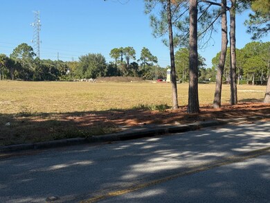 0 Forest Rd, Spring Hill, FL 34606 - photo 4