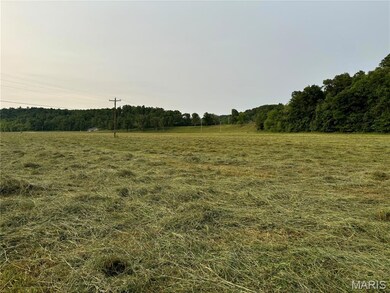 000 Wayne Route D, Greenville, MO 63944 - photo 6