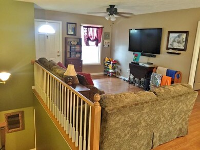 423 W Chestnut St, Johnson City, TN 37604 - photo 3