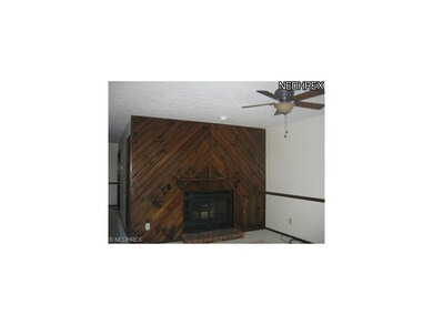 suppliment your heat bills with a woodburning fire