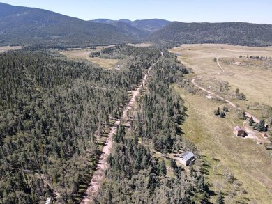 0 Petito Dr unit 25674908, Fort Garland, CO 81133 - photo 7