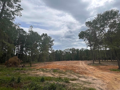 168 Stagecoach Trail, Cabot, AR 72023 - photo 3