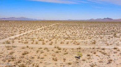 19393 N Pony Rd unit 10, Willow Beach, AZ 86445 - photo 7