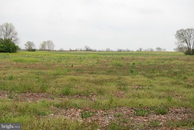 0 Longmarsh Rd unit VACL111262, Berryville, VA 22611 - photo 5