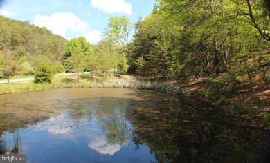 28 Ewing Dr, Capon, WV 26801 - photo 3