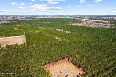 5-web-or-mls-DJI_0775