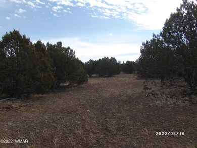 white-mountain-lake-land-for-sale