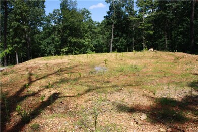 263 South St, Midway, AR 72651 - photo 4