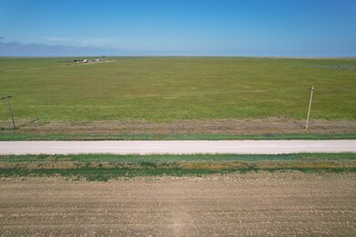 DJI_0515