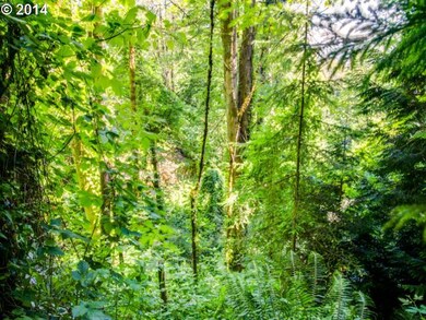 2180 NW Aspen Ave, Portland, OR 97210 - photo 7