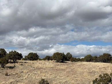 0 Parcel #01-0080-0026 unit 110250, Beaver, UT 84713 - photo 7