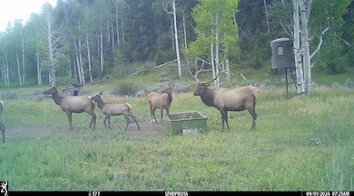 0 Tbd Atchee Ridge Rd, Rangely, CO 81648 - photo 3