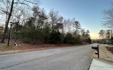 Additional View