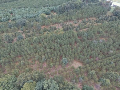 DJI_0294