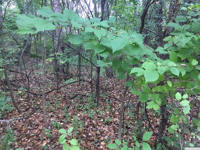 68 - C Randy Rd, Sleepy Hollow Lake, NY 12015 - photo 5