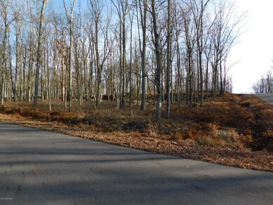 Hf-341 Hidden Forest, Hazleton, PA 18202 - photo 5