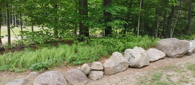 34 Lincoln Mountain Rd, Greenfield Center, NY 12833 - photo 2