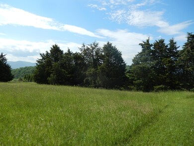 Land goes beyond treeline