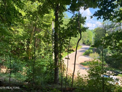 0 Cove Pointe Rd unit 1305790, Lafollette, TN 37766 - photo 7