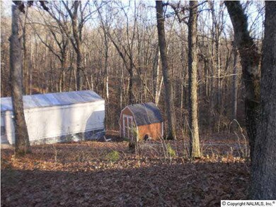 Storage shed conveys with sale!