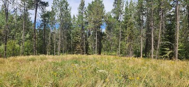 12874 Willow Rd unit 65, Donnelly, ID 83615 - photo 4