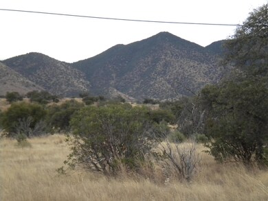 Huachuca Mountains