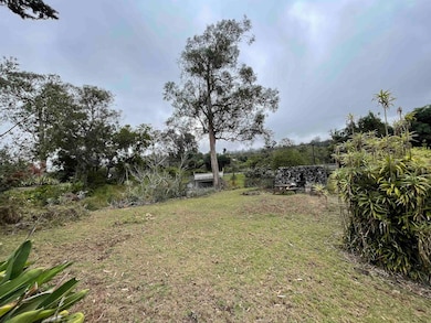 1575 Kamehameiki Rd unit 1, Kula, HI 96790 - photo 6