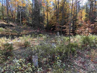 64 Beaver Pond Rd, Lyman, NH 03585 - photo 5