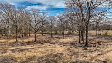 0 E Dry Creek Rd, Poolville, TX 76487 - photo 6