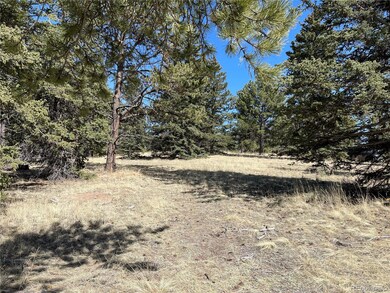 405 Silvermoon Heights, Divide, CO 80814 - photo 3