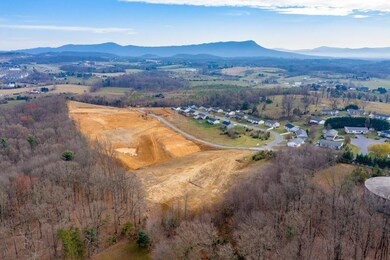 2288 Whitestone Dr, Rockingham, VA 22801 - photo 3