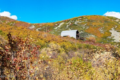 1350 Bird Ln Midway UT 84049-large-005-0