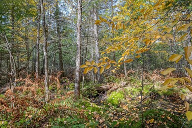 Off S Turtle Lake Rd unit S5, Winchester, WI 54557 - photo 3