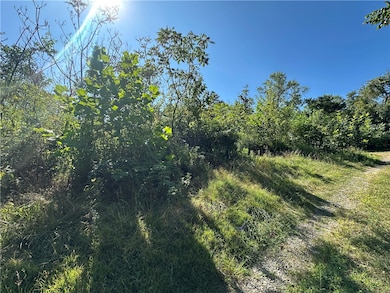 1441 Leckrone Masontown Rd, Masontown, PA 15461 - photo 6