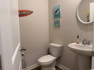 331 Picnic Basket Place, Longs, SC 29568 - photo 4