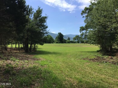 7 Laws Rd, Greeneville, TN 37743 - photo 4