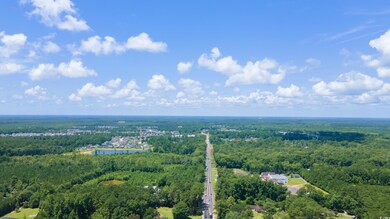 Aerial view of a forest