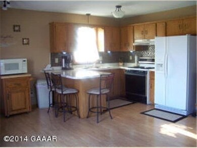 302 Erickson Heritage NE, Alexandria, MN 56308 - photo 5