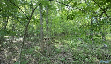 140 Ben Johnson Rd, Pulaski, TN 38478 - photo 5