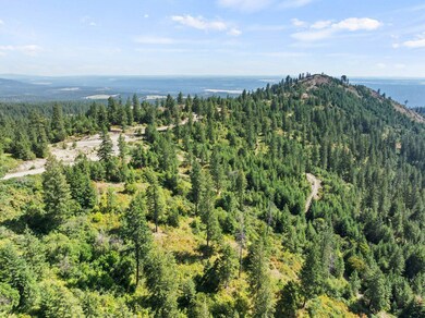 6671 Blueridge Way, Deer Park, WA 99006 - photo 5