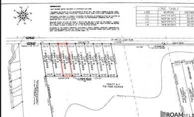 Lot #3 Louisiana 22, Darrow, LA 70725 - photo 2