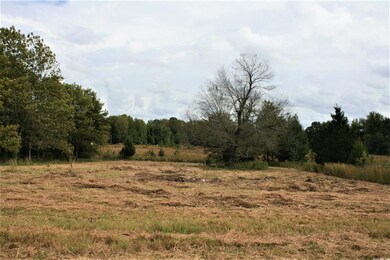 14.35 Acres + - Cr 766, Jonesboro, AR 72405 - photo 5